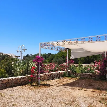 Casciani * אוג'נטו
