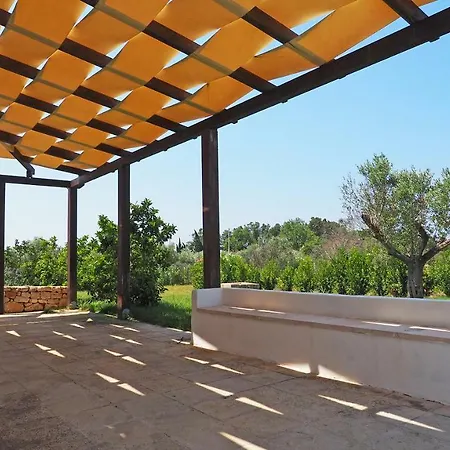 Casciani אוג'נטו