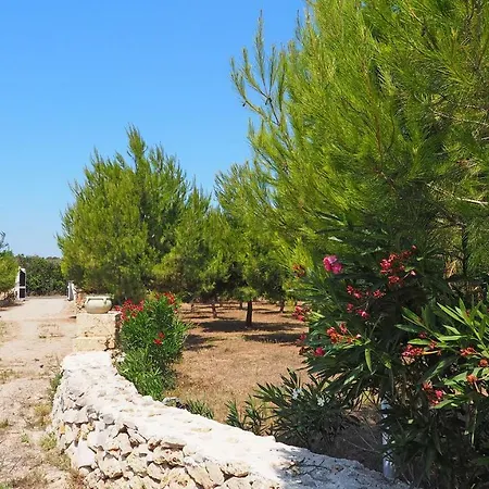 וילה Casciani