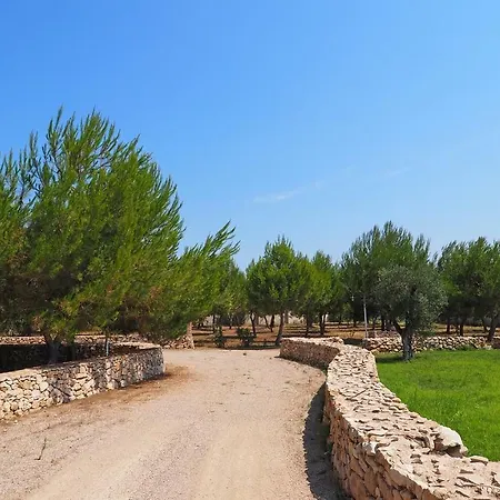 Casciani אוג'נטו